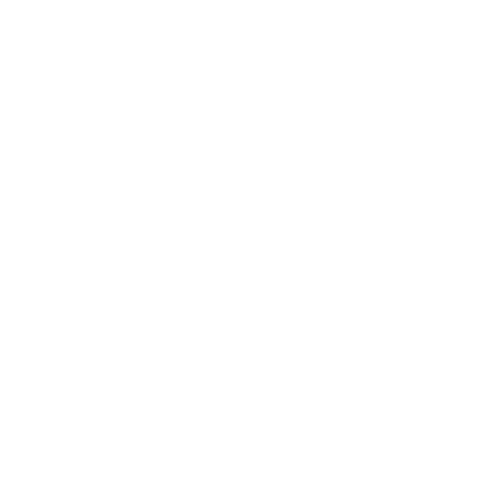 technical needs white icon